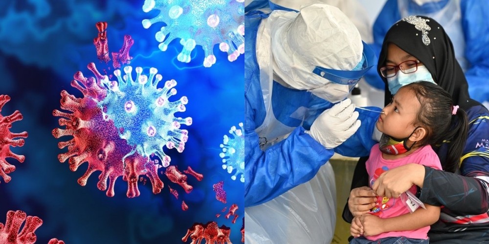 12 பேரிடம் அடையாளம் காணப்பட்டது