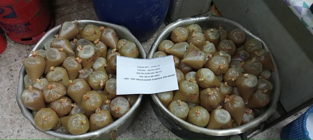 ஓப் தாபிஸ் சோதனையில் தெத்தோம் இலைகள் பறிமுதல்