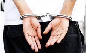 பாடகி மானபங்கம், ஆடவர் கைது