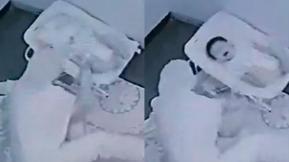 பெண் குழந்தை ஒன்று துன்புறுத்தப்பட்டது, பத்துகேவ்ஸி​ல் நடந்த சம்பவம்