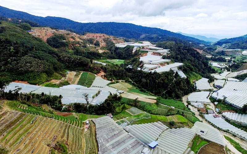 கேமரன் மலை இருளில் மூழ்கியது