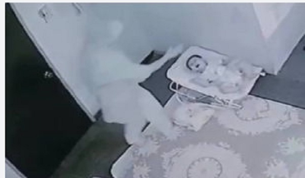 பெண் குழந்தை ஒன்று துன்புறுத்தப்பட்டது, பத்துகேவ்ஸி​ல் நடந்த சம்பவம்