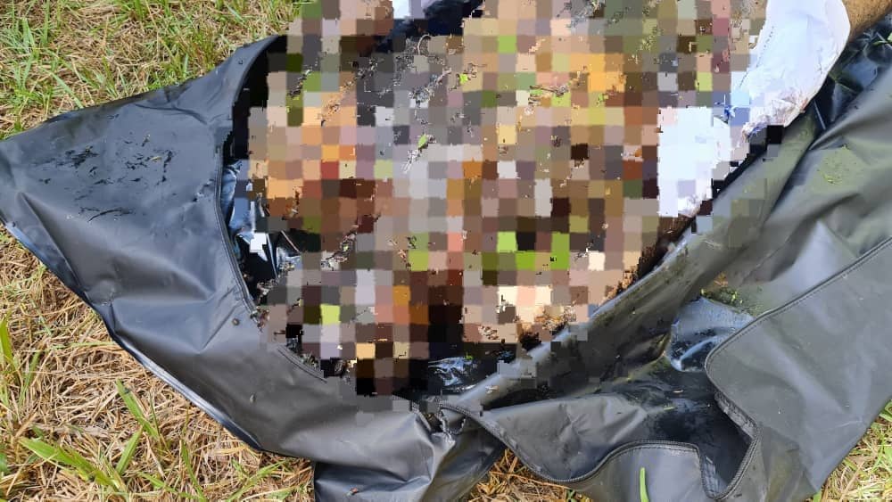 அடையாளம் தெரியாத சடலம் மீட்பு