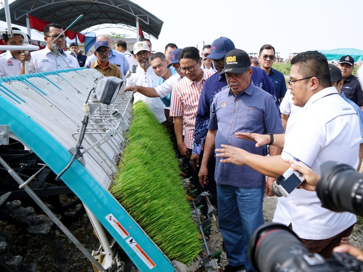 அரிசியை வாங்கி குவிக்க வேண்டாம்
