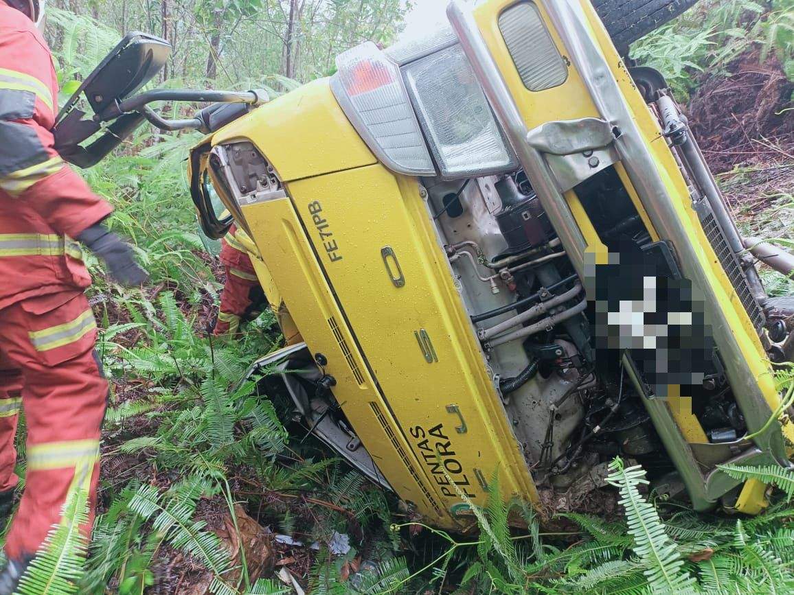 கொள்கலன் லோரி பள்ளத்தாக்கில் விழுந்தது