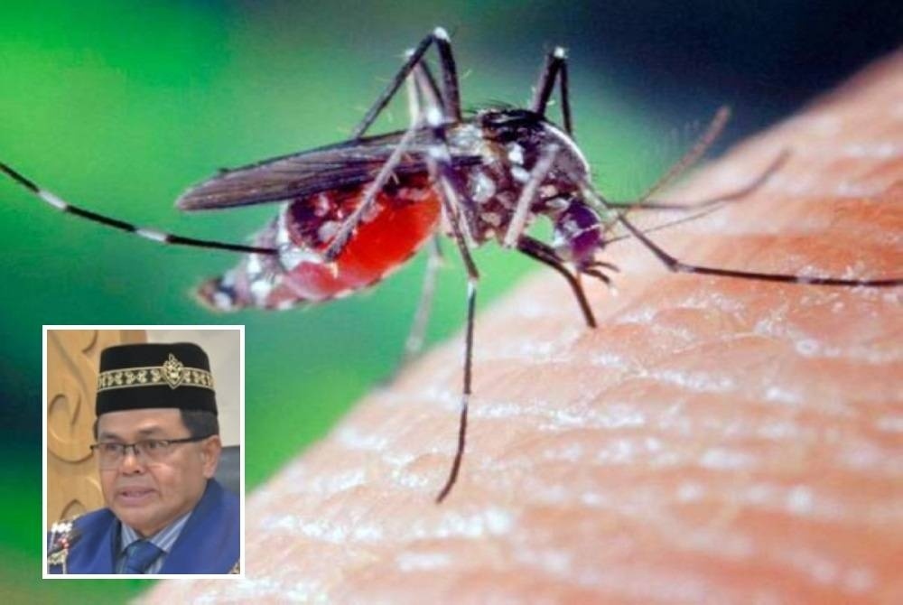 சுபாங் ஜெயாவில் 13 இடங்களில் டெங்கி ஆபத்து !