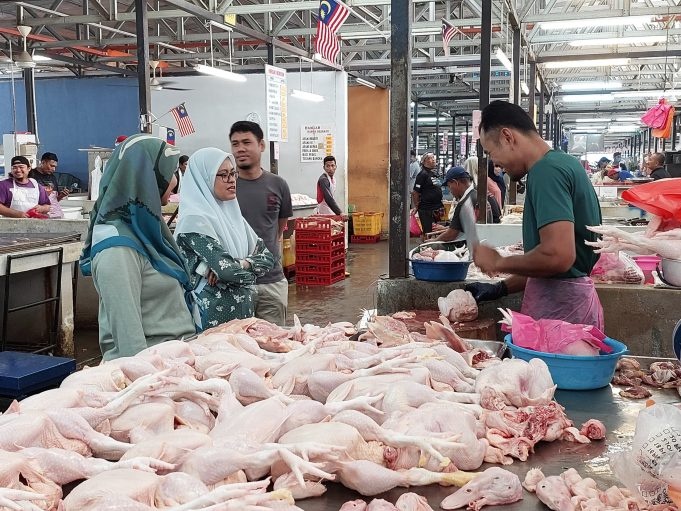 கோழி இறைச்சியின் விலை குறையலாம் - இடைக்கால அமைச்சர்