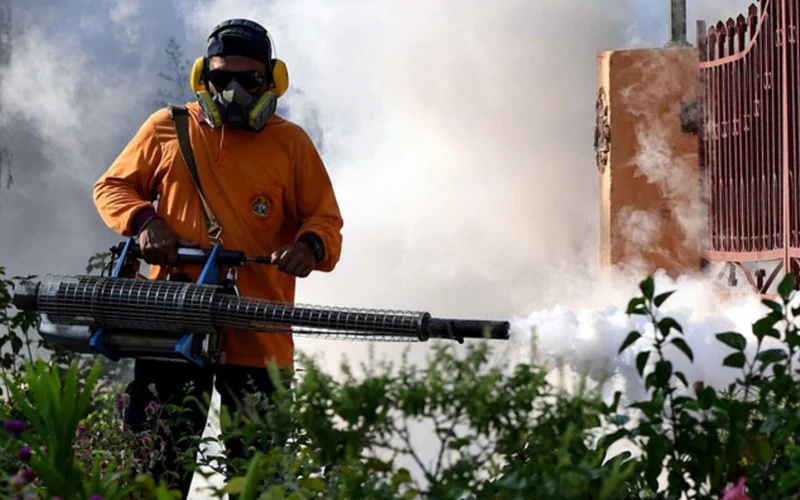 அதிகரிக்கும் டெங்கி !