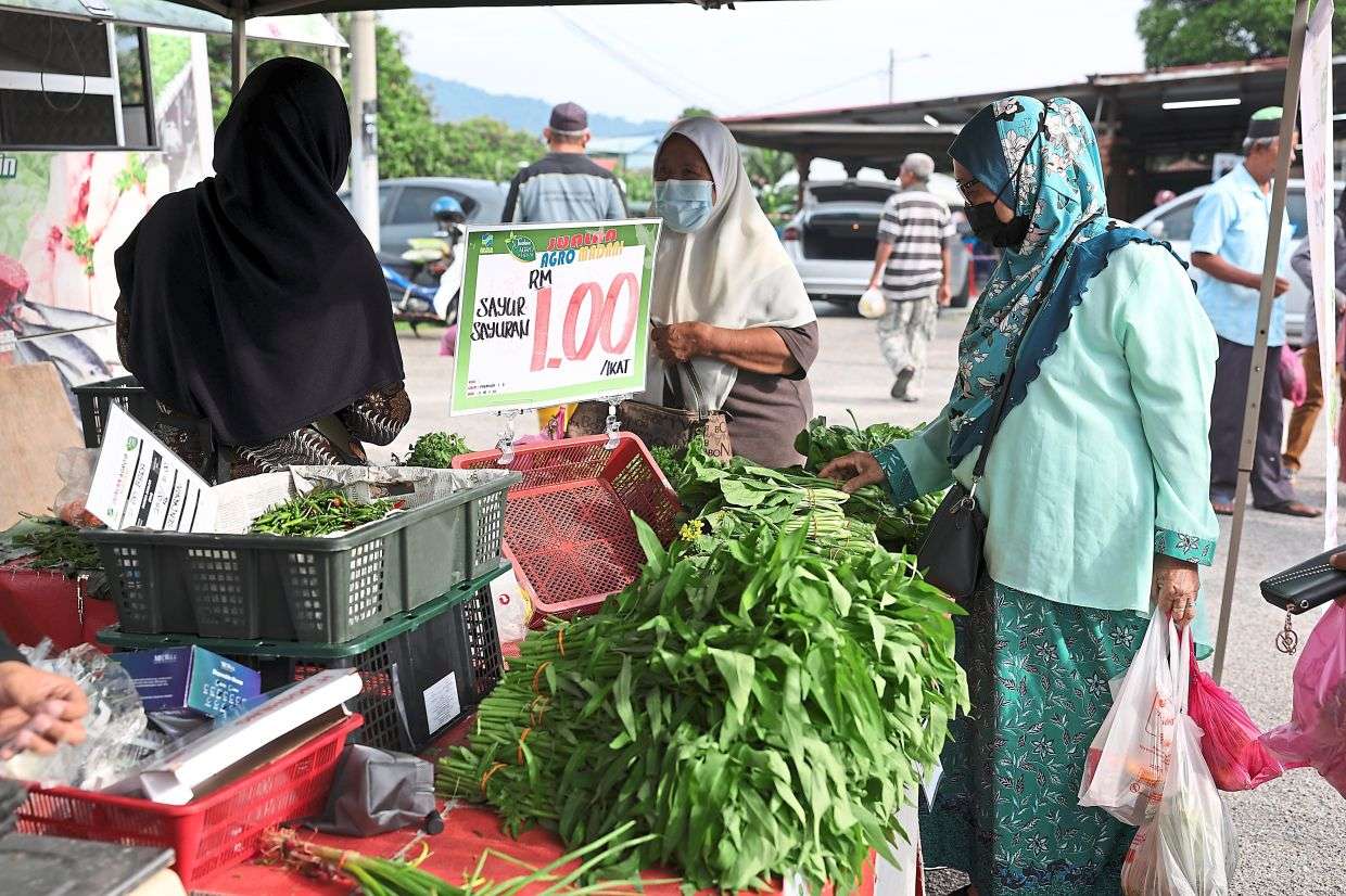 பல குடும்பங்களை காப்பாற்றி வரும் மடானி விற்பனை