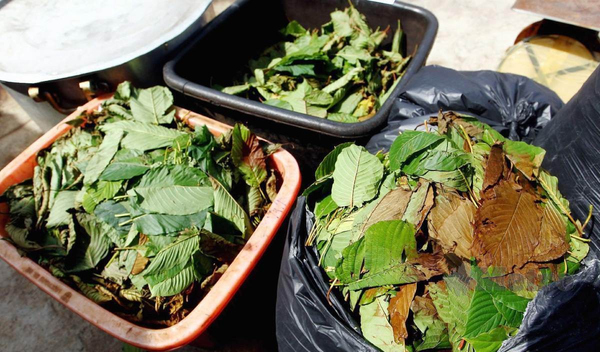 மலேசியாவின் கெத்தும் இலைக்கு மதிப்பில்லை