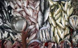 மழைக்காலத்தில் காய்கறிகள், மீன்கள் விலை அதிகரிக்காது