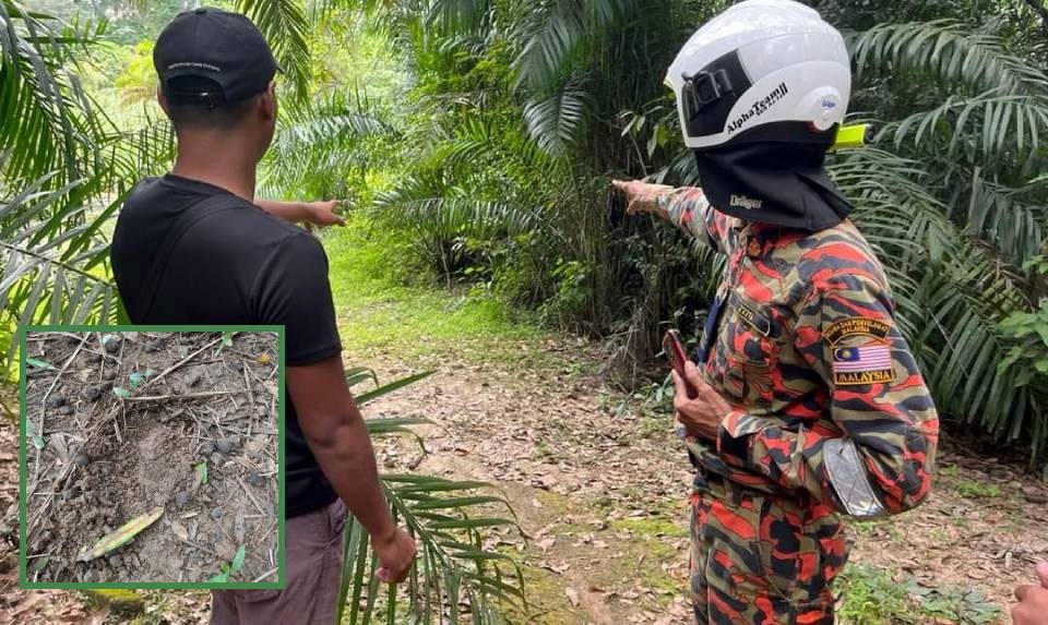 மீனவர்களை காயப்படுத்தியது புலி அல்ல