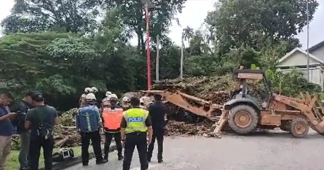 சாலையோரம் மரம் விழுந்ததில் இருவர் மரணம்