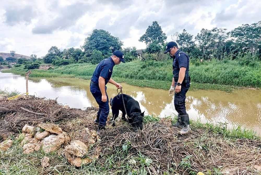 முழுமை இல்லாத மனித எலும்புக் கூடு கண்டெடுப்பு
