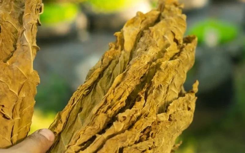 ஆறறை லட்சம் வெள்ளி மதிப்பிலான வர்ஜினியா புகையிலை மீட்பு