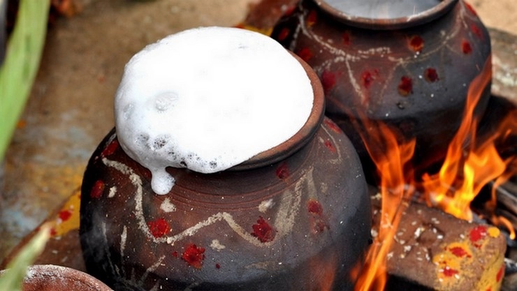 திங்கட்கிழமை பொங்கல் கொண்டாடப்படுகிறது