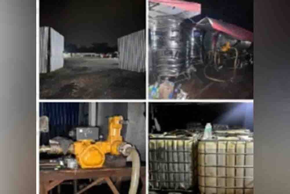 வனவில்ங்கு குற்றங்கள் : 15 பேர் கைது !