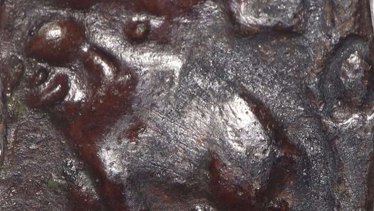 நாணயத்தின் மனித உருவம்