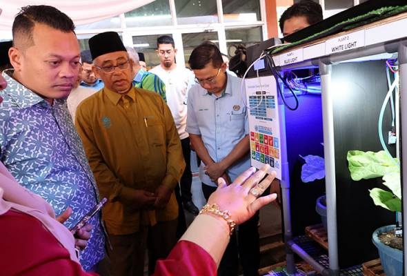 உலு மூடாவில் மரம் வெட்டும் நடவடிக்கைகள் கிடையாது