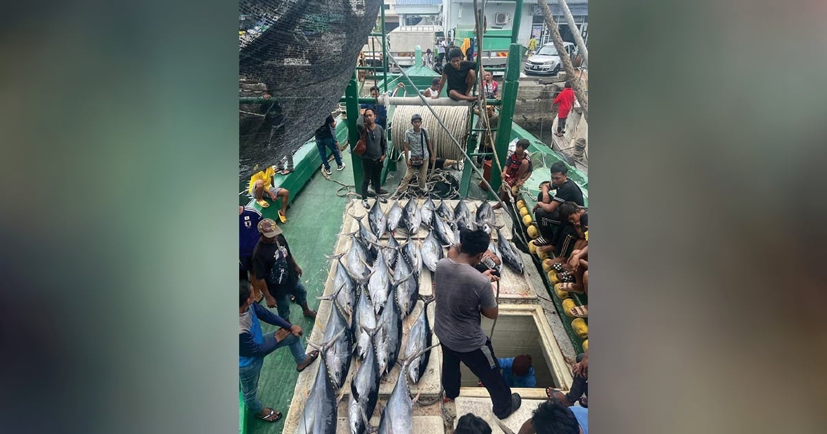 FAD பாதுகாப்பான மீன்பிடி பகுதிகளை உருவாக்குகின்றன