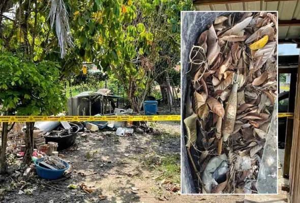 வீட்டின் பின்புறம் கிடந்தது கையெறி குண்டு