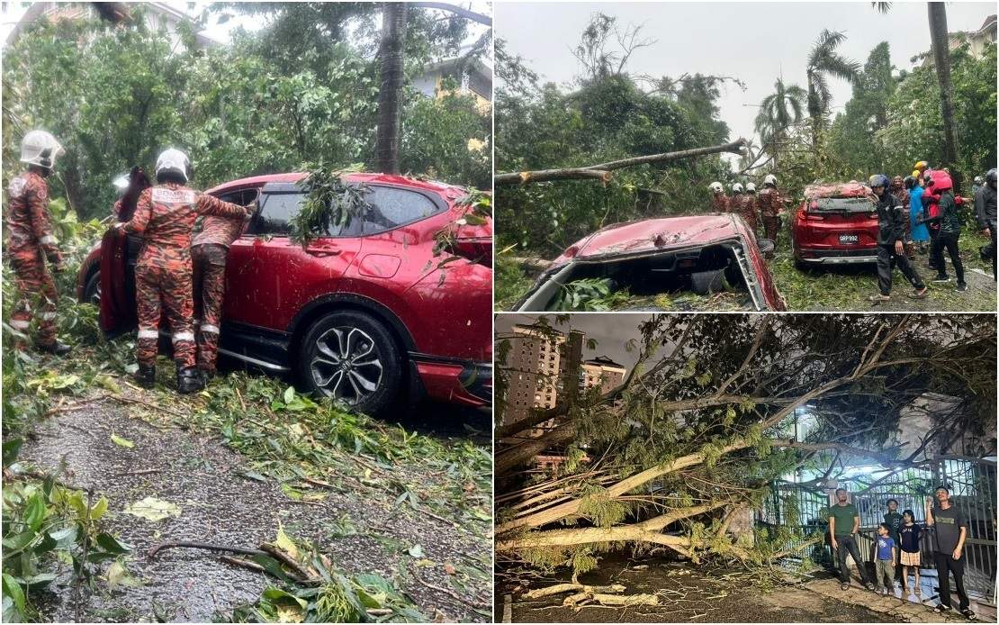 பலத்த காற்றுடன் கூடிய கனமழையால் 16 வாகனங்களும் 3 வீடுகளும் சேதமடைந்தன