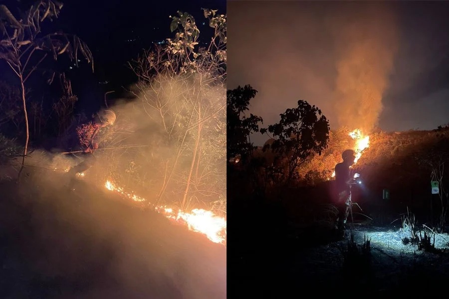 தீயை அணைக்க தீயணைப்பு வீரர்கள் செயல்பட்டனர்