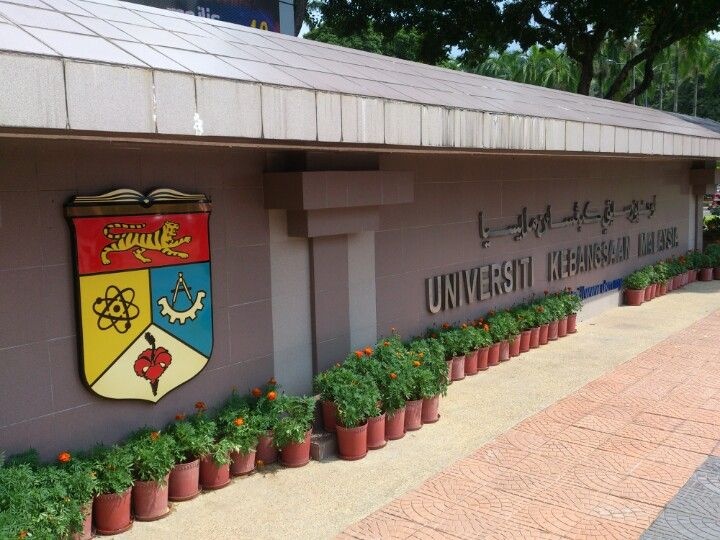 பழங்குடி மக்களுக்காக கண் பராமரிப்பு சேவை !