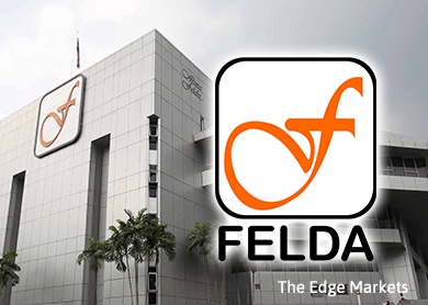 Felda குடியிருப்புவாசிகளின் நலனுக்காக அரசாங்கம் ஒரு புதிய அணுகுமுறையை அறிவிக்கும் - துணைப் பிரதமர் அகமாட் சைட் அறிவுறுத்து