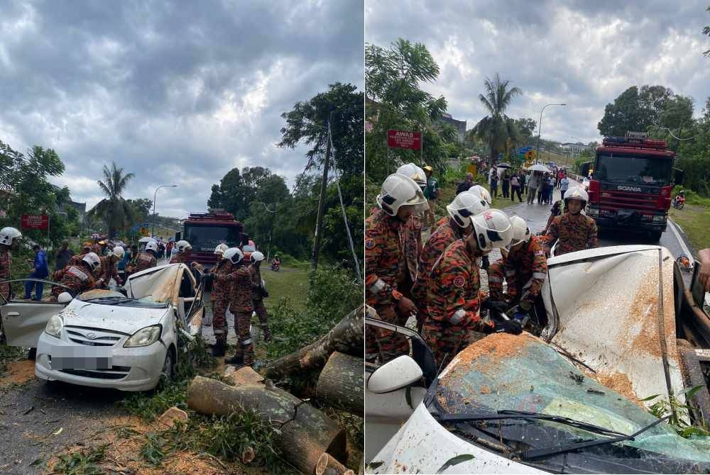 கார் மீது மரம் விழுந்து ஆடவர் பலி