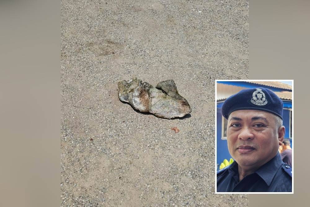 தலையில் விழுந்த 5 கிலோ எடைக் கொண்ட கல், ஓட்டுநர் உயிரிழந்தார்