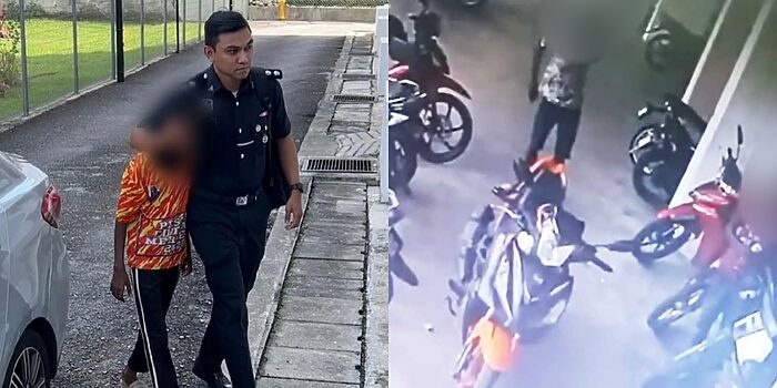 பூனைக்குட்டியை உயிருடன் எரித்ததாக இளைஞன் மீது குற்றச்சாட்டு