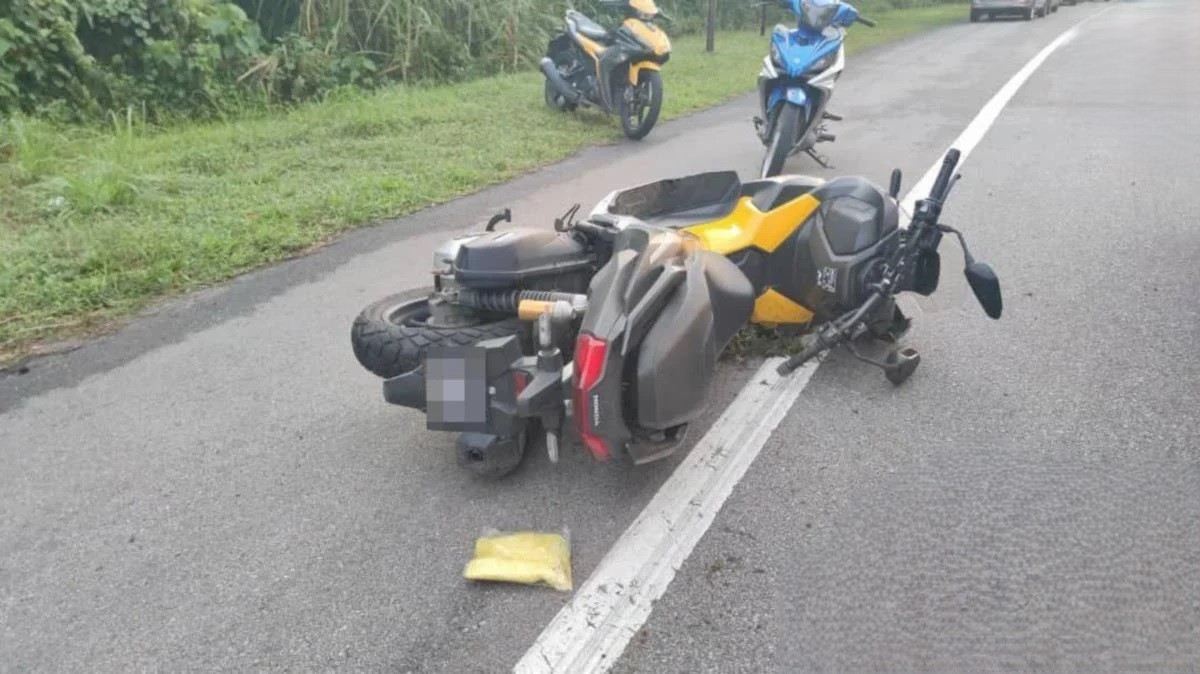 பன்றிகள் மீது மோதி ஆடவர் ஒருவர் உயிரிழந்தார்