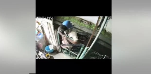 உள்ளாடைகளை திருடும் நபர் தேடப்பட்டு வருகிறார்