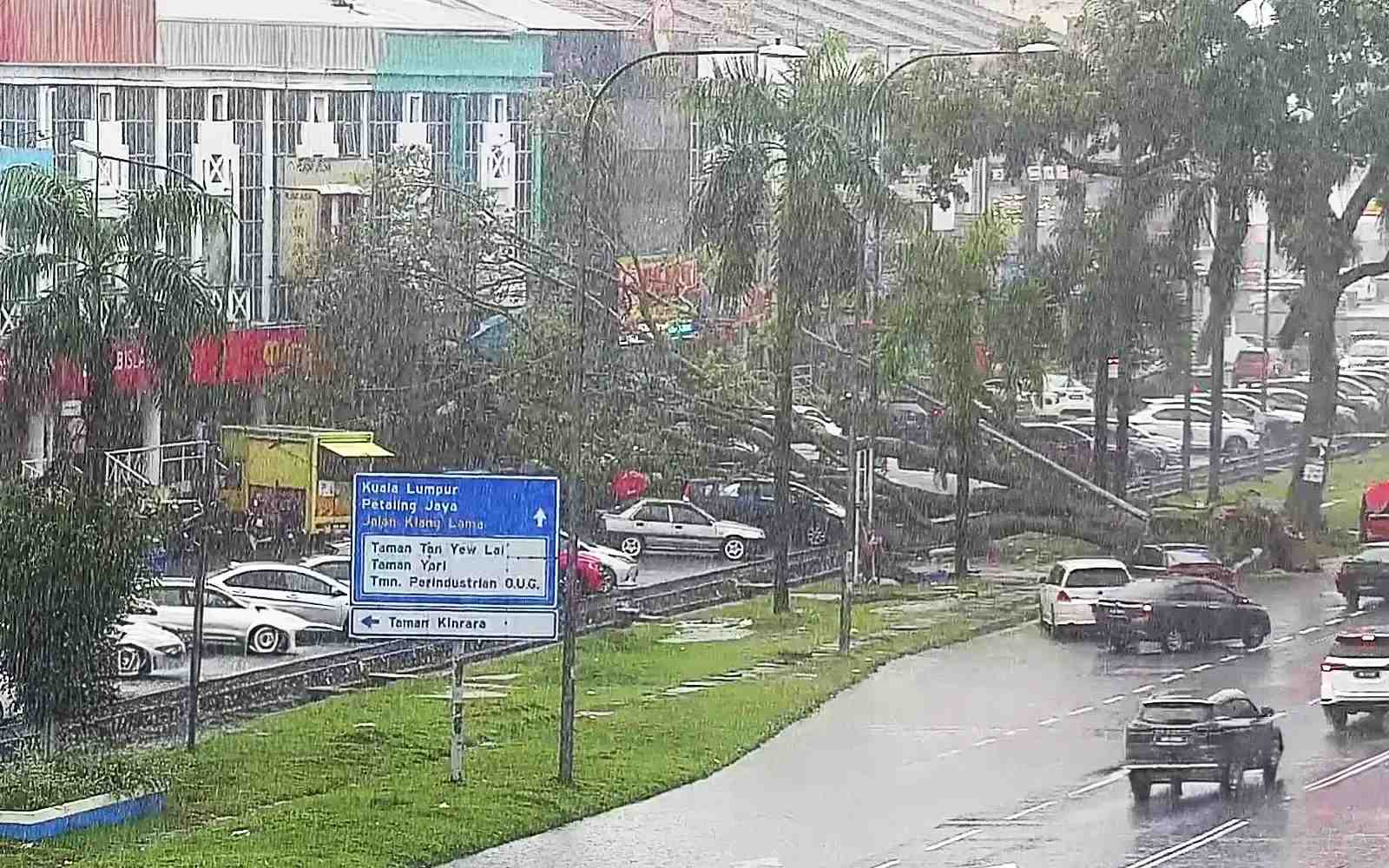 மரங்கள் வேரோடு சாய்ந்தன