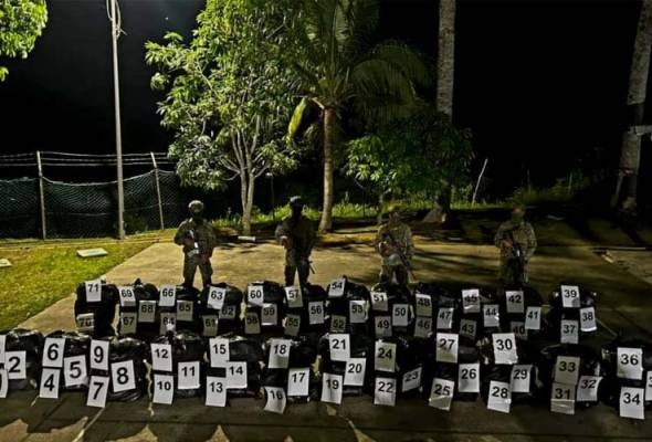 700 கிலோகிராம் கேதும் இலைகள் கைப்பற்றப்பட்டன