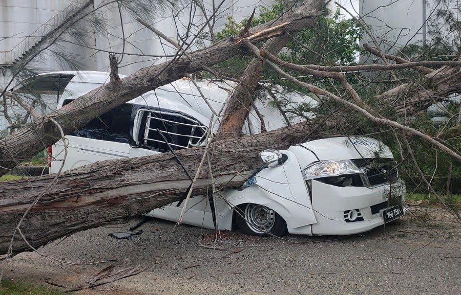 போலீஸ் வேனின் மீது மரம் விழுந்தது