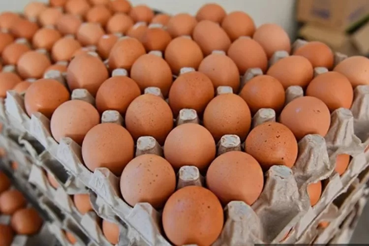 கோழி முட்டைகளின் சில்லரை விலை 3 சென் குறைக்கப்படுகின்றது