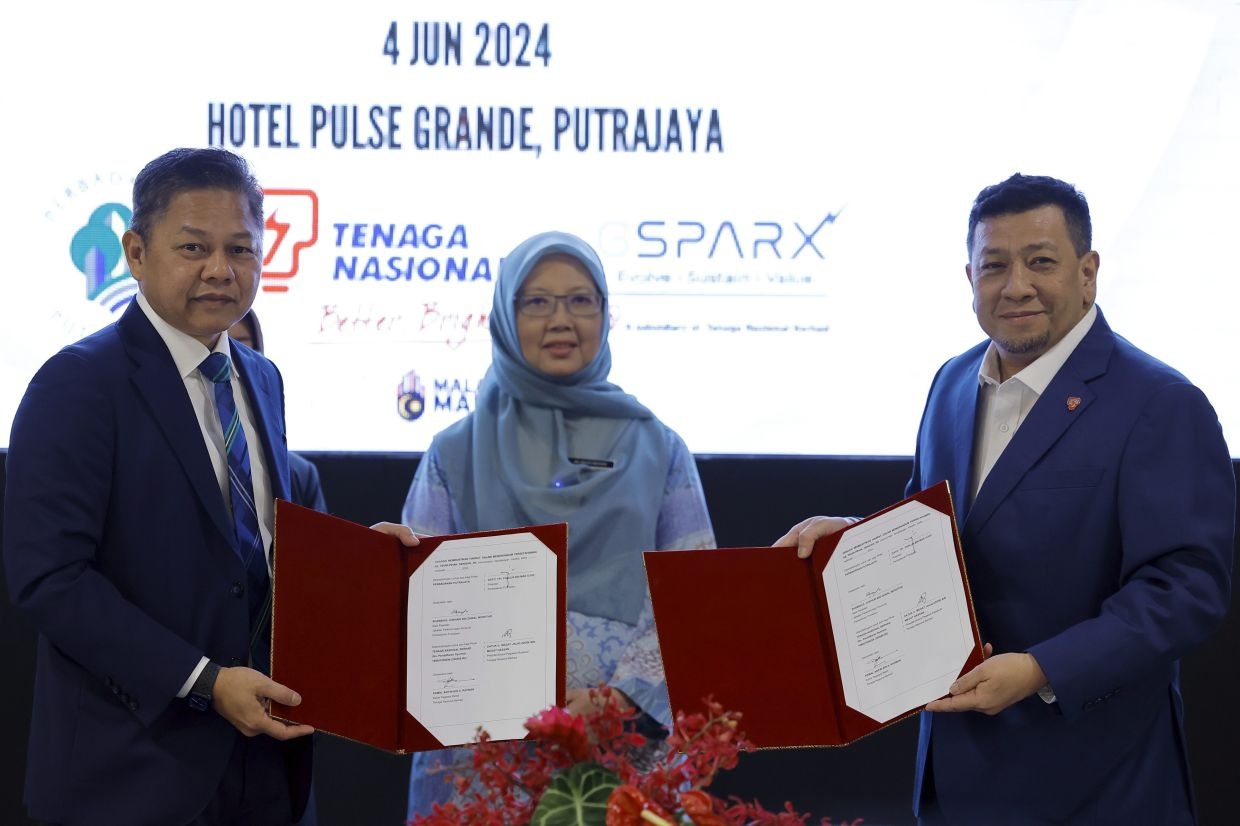 தலைநகரில் மரங்களை பராமரிப்பதைக் கண்காணிக்கும் சிறப்பு குழு