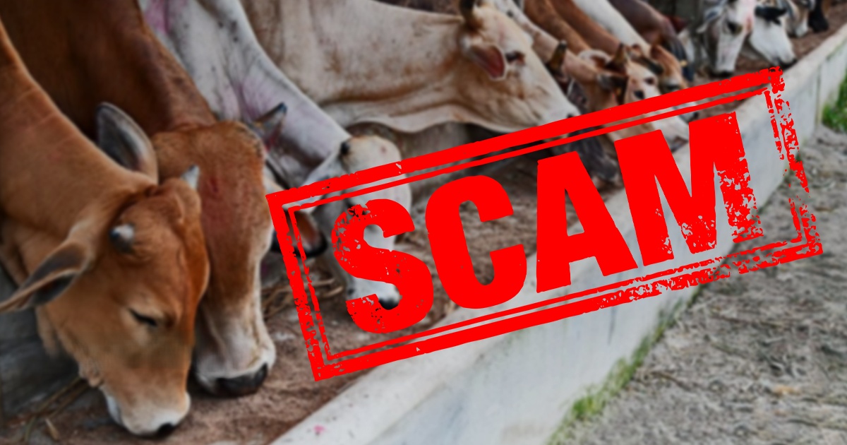 வாட்ஸாப் வாயிலாக மாட்டிற்கு பணத்தை செலுத்திய ஆசிரியர் ஏமாற்றப்பட்டார்.