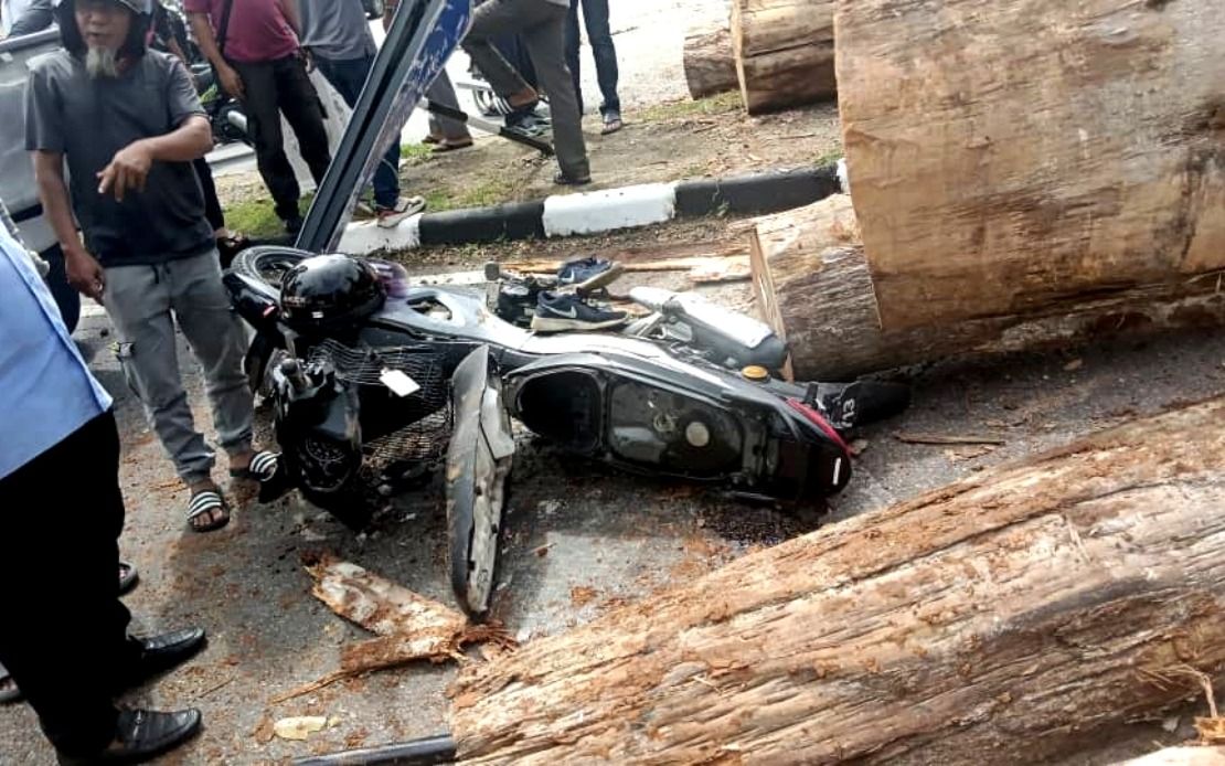 வெட்டுமர லோரி குடை சாய்ந்தது, மாது உயிர் தப்பினார்