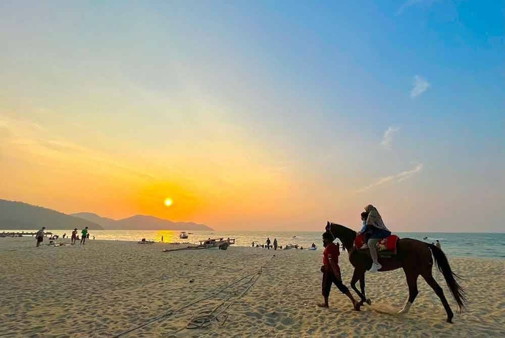 குதிரை சவாரி நடவடிக்கைகளுக்கு தடை