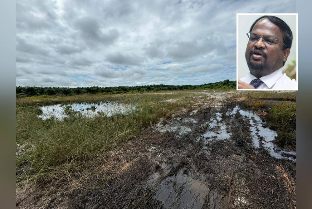 சுற்றுச்சூழல் இலாகா விசாரணை நடத்துகிறது