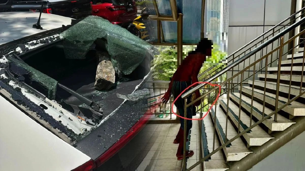 மேம்பாலத்திலிருந்து கற்களை எரிந்த நபர்