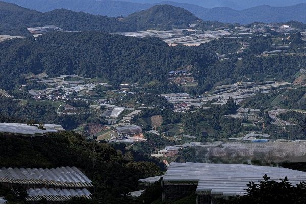 குளிர்ச்சித் தன்மையை இழக்கும் கேமரன் மலை