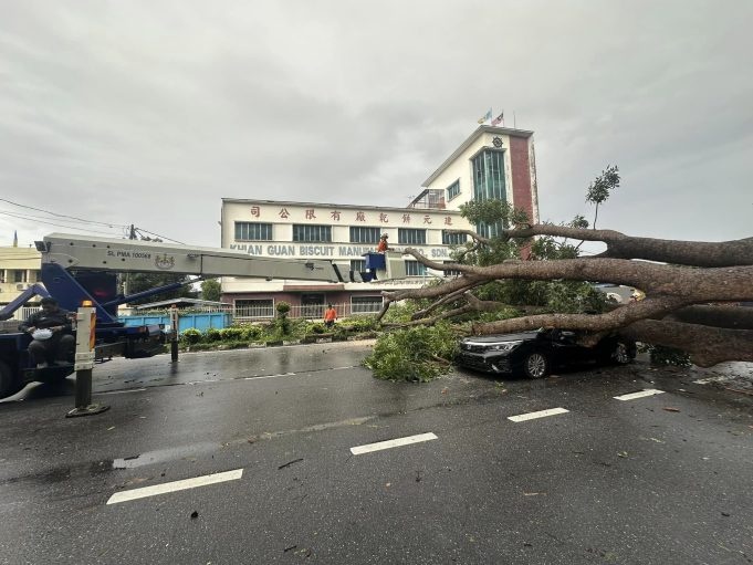 பினாங்கில் கனத்த மழை/ 200 க்கும் மேற்பட்ட மரங்கள் சாய்ந்தன