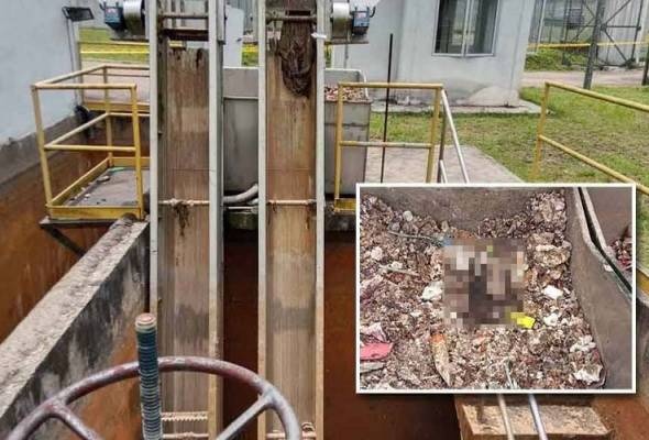 கழிவு நீர் சுத்திகரிப்பு மையத்தில் மனித எலும்புக்கூடு