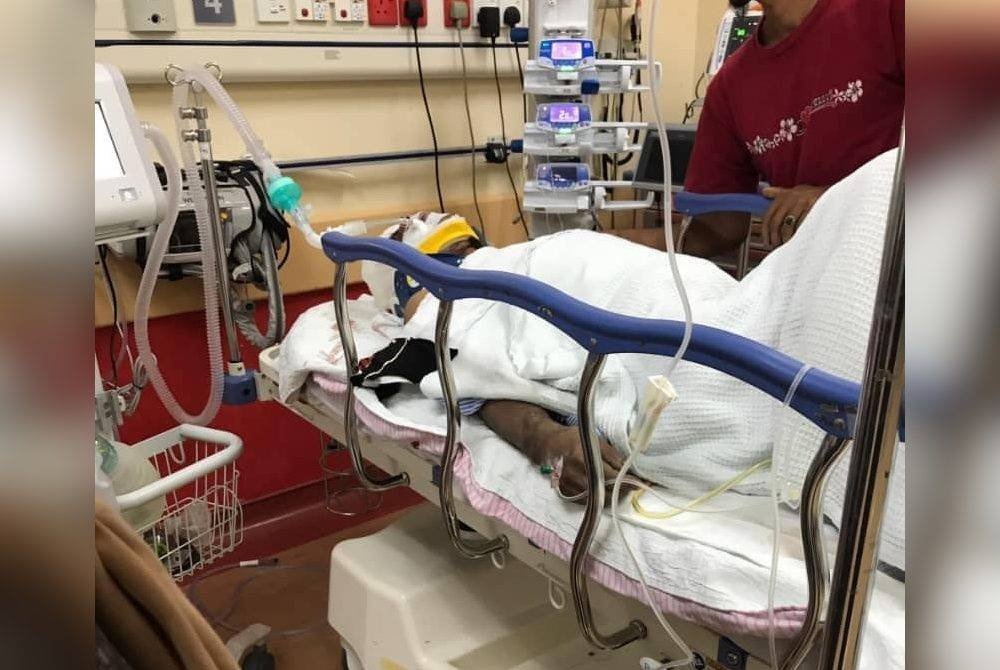 கரடி தாக்கி ஆடவர் கடும் காயங்களுக்கு ஆளானார்