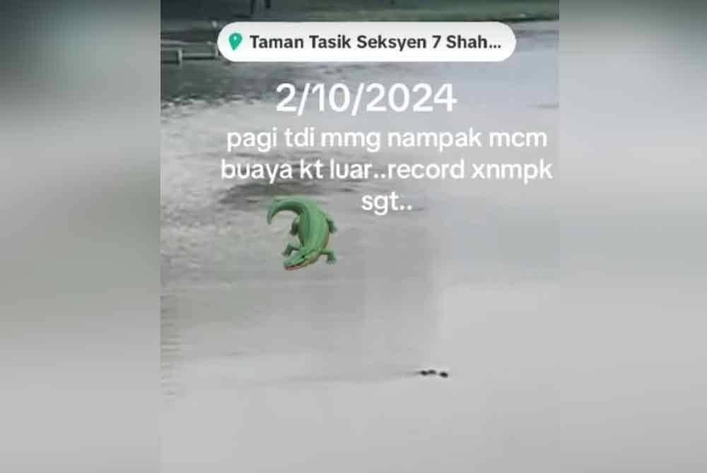 ஷா ஆலாம் ஏரிப்பூங்காவில் மீண்டும் முதலையா?