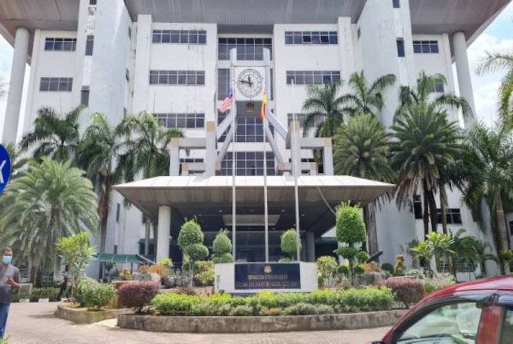 பூனையை காயப்பபடுத்தியதாக வங்காளதேச ஆடவர் மீது குற்றச்சாட்டு